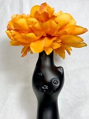 Happy Cat Riesling Matte Black Wine Bottle EMPTY Halloween Cat Decor