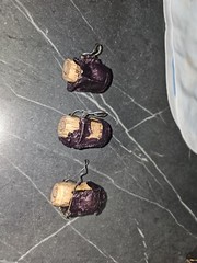 3 Empty dom perignon ROSE Cork, NO Bottle Just Cork , 750 ML