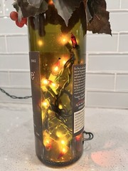 Vampire Wine Bottle with Red Tipped lights Grapes Leaves – UNIQUE & COOL!