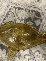 Vintage Italian Handblown Amber Crackle Glass Orvieto Wine Fish Decanter Empty