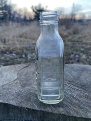 Vintage 1951 BerryCup Shorty Wine Bottle. 2/5pint. New York. Screw Top