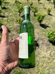 Beringer Cellars Sauterne Wine Bottle 4/5 Pint 1950s