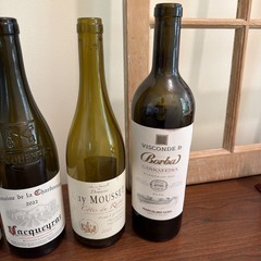 Lot of 6 Empty Wine Bottles 750ml Colored Glass