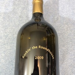 2007 WSU Wichita State University Shocker Red Display Wine Bottle Huge 19.5&Prime;x6&Prime;