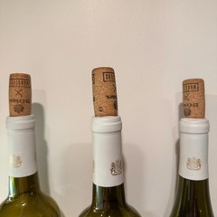 19 Crimes Universal Monsters Wine Bottle Set Frankenstein Bride Mummy Limited!