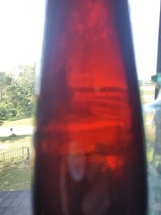 Red Early Hock Wine 14&Prime; Bottle
