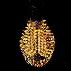 Armand de Brignac Studs Decoration Empty Bottle Color Gold Togemand Toge-mand