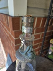 RARE VIARENGO SAP TORINO Wine Snake Bottle 12&Prime; From Italy