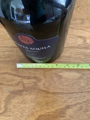 Empty Punta Aquila Primitivo Puglia Italian Wine Bottle 1.5 Liter