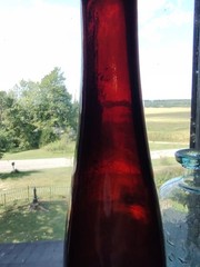 Red Early Hock Wine 14&Prime; Bottle