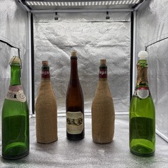 Lot Of 5 Empty Vintage Wine Bottles Siglo Wrapped, Thomas Vin, André, Paul Mason