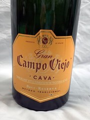 Sealed Empty Gran Campo Viejo Cava Brut Reserva Bottle Display Dummy 3 Liter