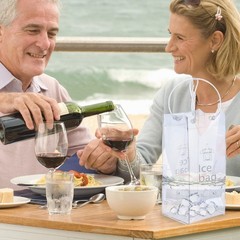 3 Pack Portable Ice Wine Bag, Collapsible Clear PVC Pouch Wine Cooler Bag, Wine