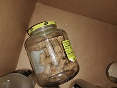 24 ish empty wine bottles and extra corks