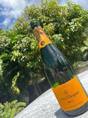 Veuve Clicquot Brut Champagne EmptyBottles