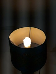 Beautiful Lamp French Lamaison Du Rot Wine Mid-Centrury Style Man Cave
