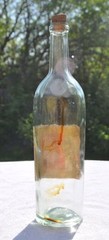1950 USSR Russia Soviet Estonia POHJAMAA Mixed Berries Wine Bottle w Label
