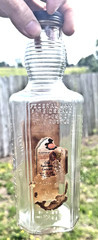 ANTQIUE ORIGINAL “ MANY BLANC “ ROCK- RYE PAPER LABEL LIQUOR EMPTY BOTTLE !!
