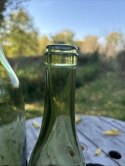 Vintage Olive Green Wine Bottle Pair