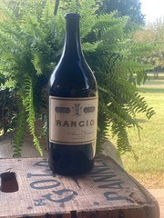 Vintage 1950s–70s Rancio Wine Bottle – Maria Vaqquier Frontignan France – 13”