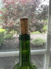 Dominus Wine Bottle Empty 1999 Napa Valley Collectible 1.5 L Magnum