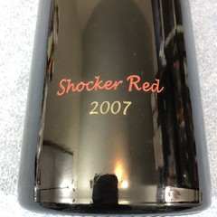 2007 WSU Wichita State University Shocker Red Display Wine Bottle Huge 19.5&Prime;x6&Prime;