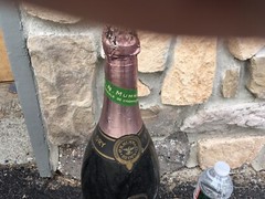 RARE HUGE 1940’s MUMM & Co Reims CHAMPAGNE DISPLAY BOTTLE GLASS DUMMY BOTTLE