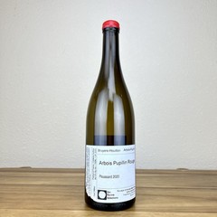 Bruyere & Houillon Arbois Pupillin 2020 Ploussard Natural Wine Empty Bottle
