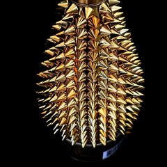 Armand de Brignac Studs Decoration Empty Bottle Color Gold Toge-mand Togemand