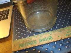 Vintage Paul Masson Glass Wine Water Carafe, Embossed Bottom Letters, 10.5&Prime; Tall