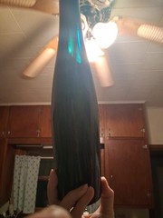 Vintage Rhine Hock Wine Bottle Dark Teal