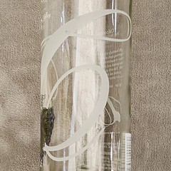 Colterris Livid Grand Valley Empty Wine Bottle – Clear Etched Glass – Colorado