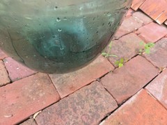 Vintage Green Glass Demijohn Bottle