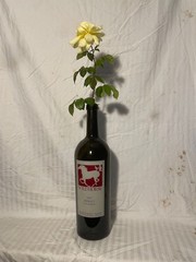 3 liter wine bottles with custom silkscreened WILD HORSE label.