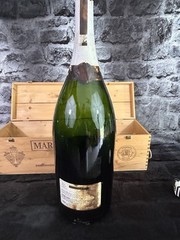 24 Inch Display Bottle W/ Crate Martini Asti Spumante Rossi Champagne Empty NOS