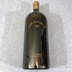 2007 WSU Wichita State University Shocker Red Display Wine Bottle Huge 19.5&Prime;x6&Prime;