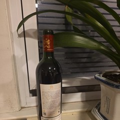 Chateau Mouton Rothschild 2010 Wine Bottle EMPTY