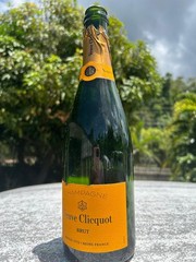 Veuve Clicquot Brut Champagne EmptyBottles