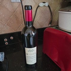 Petrvs Pomerol Grand Vin 2012 Empty Bordeaux Bottle with Cork