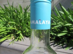 Hand Painted Empty Clear Wine Bottle, Leaves Shades of Blue, Green and Purple