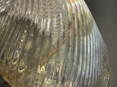 Vintage Italian Swiss Colony California 1950&rsquo;s Glass Gallon Wine Bottle Empty