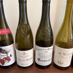 Lot of 6 Empty Wine Bottles 750ml Colored Glass