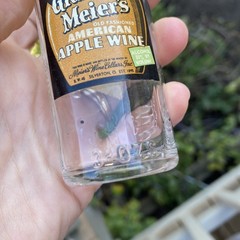 VTG 1940 Empty Grandpa Meier&rsquo;s American Apple Wine Mini Bottle w Ohio Tax Stamp