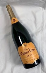 Sealed Empty Gran Campo Viejo Cava Brut Reserva Bottle Display Dummy 3 Liter