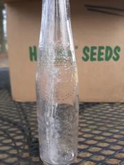 .Virginia Dare Wine Bottle, New York