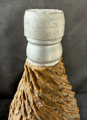 Hungarian Hortobagy Scene Wine Bottle Faux Bark Wood Covered Bottle Used Vintage