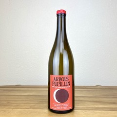 Bruyere & Houillon Arbois Pupillin 2020 Ploussard Natural Wine Empty Bottle