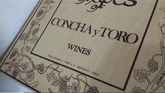 Noble Grapes Concha y Toro Wines Wooden Box EMPTY Lidded Hinged Display Piece