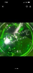 Vintage Wine World 1976 Green Glass Decanter Bottle 1.5 Litre Long Neck Handle