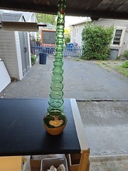 Vintage Giant 3L Green Glass Bessi Chianti Wine Bottle 30&Prime; Tall 1969 Vintage
